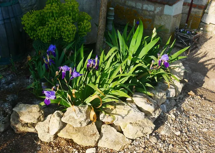 Au Coeur De La Cour
