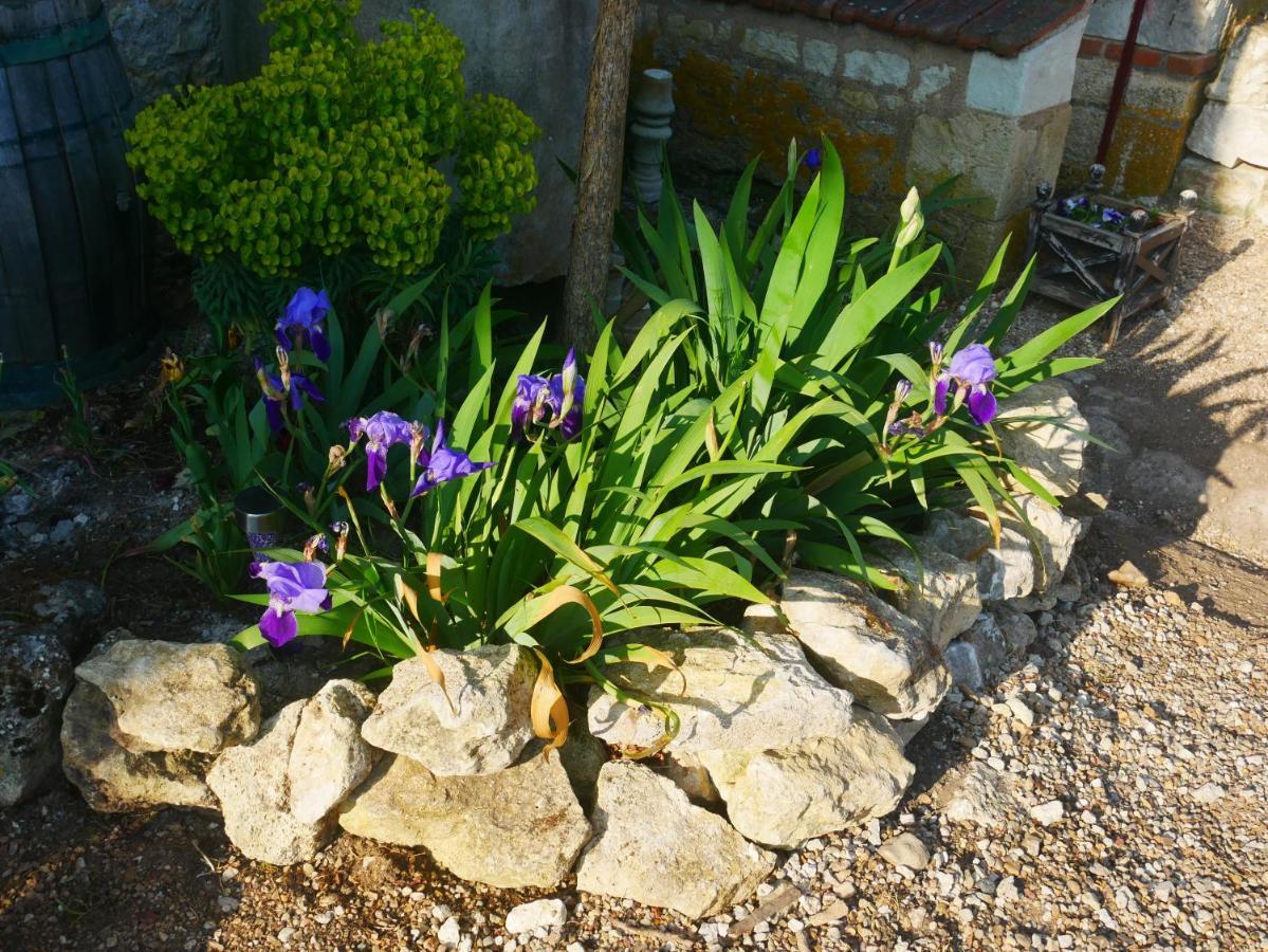Au Coeur De La Cour